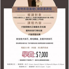 寵物美容基礎C級證書課程